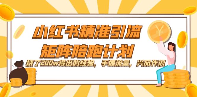 小红书精准引流·矩阵陪跑计划：烧了200w得出的经验，手握流量，兴风作浪！_优优资源网