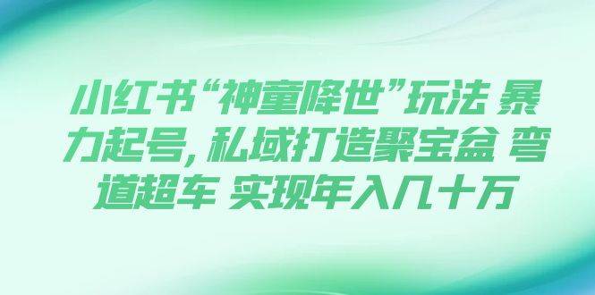 小红书“神童降世”玩法 暴力起号,私域打造聚宝盆 弯道超车 实现年入几十万_优优资源网