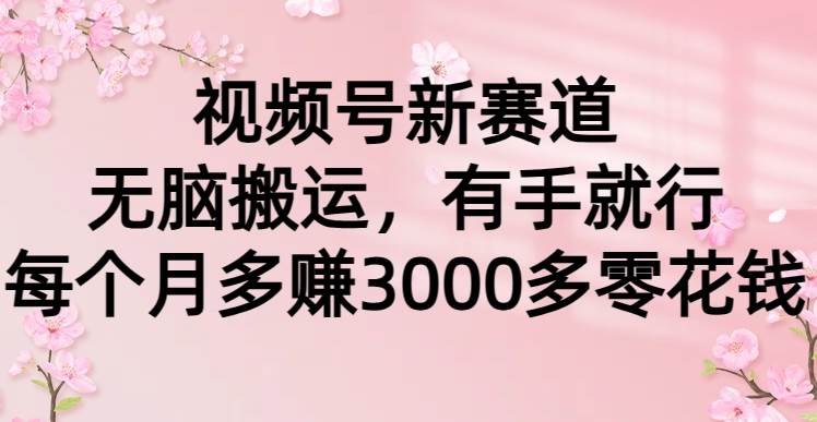 视频号新赛道，无脑搬运，有手就行，每个月多赚3000多零花钱_优优资源网