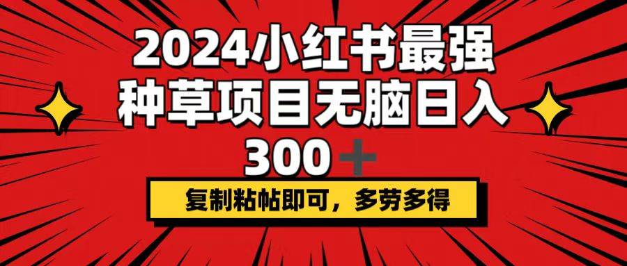 2024小红书最强种草项目，无脑日入300+，复制粘帖即可，多劳多得_优优资源网